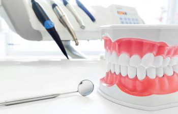 A model of a tooth on a table in a dentist's office.